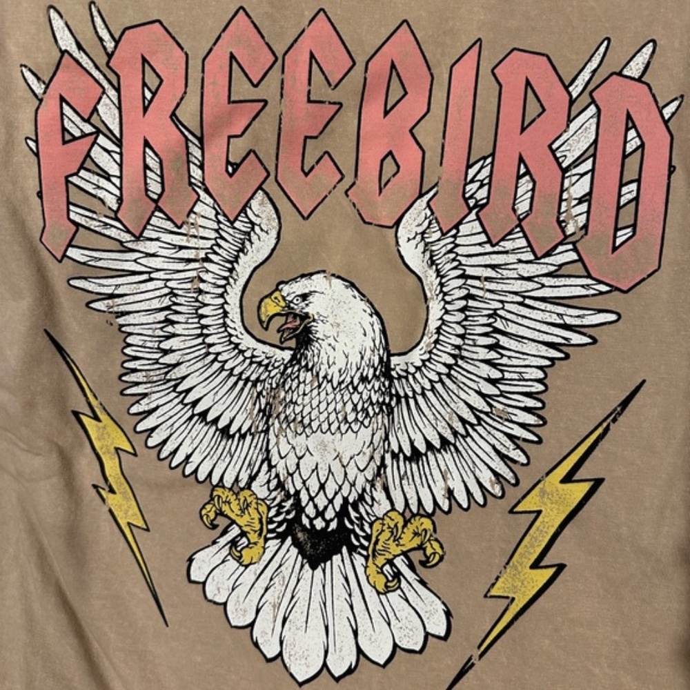 SOLD OUT Freebird Eagle Graphic Taupe Mineral T-Shirt Tee Shirt Mini Relaxed Fit - Picture 2 of 2